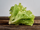 Fresh head of Iceberg lettuce with crisp, light green leaves resting on a rustic wooden surface.
