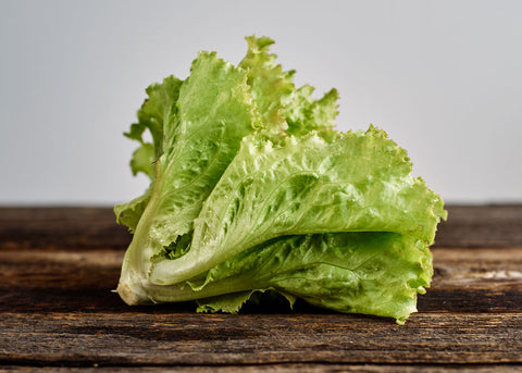 Heirloom Lettuce - Iceberg - Seed - Bucktown Seed Company_01