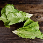 Two heads of fresh Jericho romaine lettuce with bright green leaves on a rustic dark wooden surface.