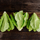 Three fresh Little Gem lettuce heads with crisp green leaves arranged on a rustic dark wooden surface.