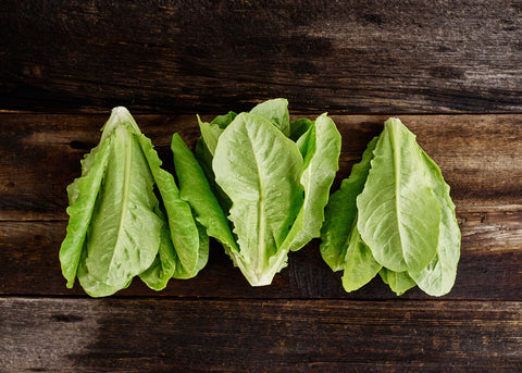 Heirloom Seeds_Lettuce Little Gem_Bucktown Seed Company-01