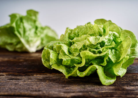 Heirloom Lettuce Seeds - Tom Thumb Lettuce - Bucktown Seed Company _01