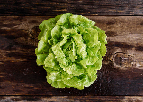 Heirloom Lettuce Seeds - Tom Thumb Lettuce - Bucktown Seed Company _04