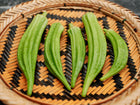 Freshly harvested Clemson Spineless okra pods arranged on a round, woven bamboo tray.