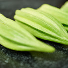 Fresh, deeply ribbed Star of David okra pods arranged in a row on a dark, textured surface.