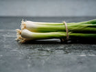 A bundle of fresh Evergreen Bunching onions tied with twine, featuring long white shanks and green tops on a dark surface.