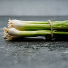 A bundle of fresh Evergreen Bunching onions tied with twine, featuring long white shanks and green tops on a dark surface.