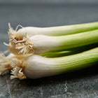 A bunch of Evergreen Bunching onions with white shanks and green tops tied with twine on a dark surface.