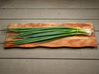 A bunch of Evergreen Bunching onions with long green tops and white shanks resting on a rustic wooden board.