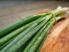 A bunch of fresh Evergreen Bunching onions with green stalks and white shanks tied with twine on a wooden cutting board.