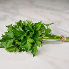 Fresh bunch of Italian Giant parsley with flat green leaves tied with twine on a white marble surface.
