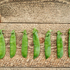 Seven fresh Laxton’s Progress #9 pea pods lined up on a rustic wooden surface.