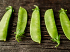 Fresh, bright green Mammoth Melting Sugar snow pea pods arranged in a row on a rustic dark wooden surface.