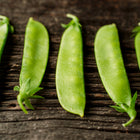 Fresh, bright green Mammoth Melting Sugar snow pea pods arranged in a row on a rustic dark wooden surface.