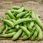 A pile of fresh, dew-covered Sugar Ann snap pea pods resting on a rustic wooden surface.