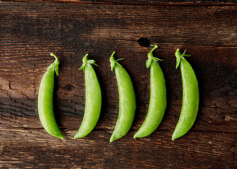 Heirloom Seeds_Sugar Daddy Pea Seeds_Bucktown Seed Company-03