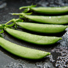 Fresh, dew-covered Sugar Snap pea pods arranged in a row on a dark, wet surface.
