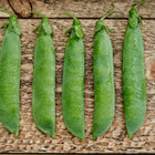 Five fresh green Tall Telephone pea pods lined up on a rustic wooden surface.