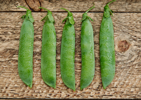 Heirloom Seeds_Peas Tall Telephone_Bucktown Seed Company-02