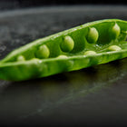 Open Tall Telephone pea pod showing bright green peas inside against a dark, textured background.