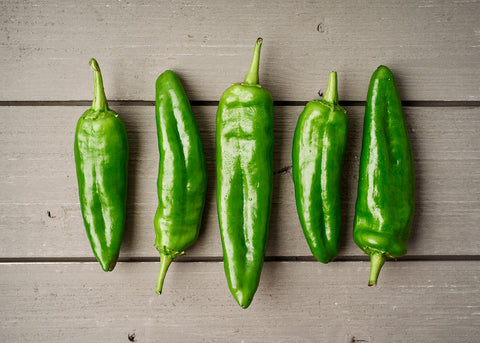 Heirloom Seeds - Anaheim Pepper - Bucktown Seed Company-04