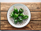 Fresh dark green Poblano peppers arranged on a white decorative metal plate atop a rustic wooden crate.