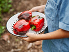Person holding a white enamel colander filled with three ripe, red California Wonder bell peppers.