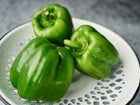 Three fresh, blocky Emerald Giant green bell peppers resting in a white decorative colander.