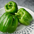 Three fresh, blocky Emerald Giant green bell peppers resting in a white decorative colander.
