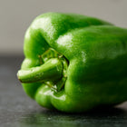 A single, glossy Emerald Giant green bell pepper with water droplets on a dark surface.