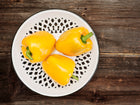 Three bright yellow Golden Cal Wonder bell peppers in a white decorative colander on a rustic wooden table.