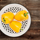 Three bright yellow Golden Cal Wonder bell peppers in a white decorative colander on a rustic wooden table.