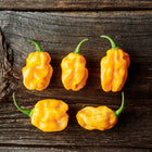 Five bright orange Habanero Orange peppers with wrinkled skin arranged on a dark, rustic wooden surface.