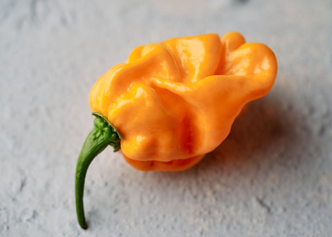 Heirloom Seeds_Pepper Habanero Orange_Bucktown Seed Company-03
