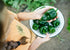 Heirloom Seeds_Italian Pepperoncini Pepper Seeds_Bucktown Seed Company-01