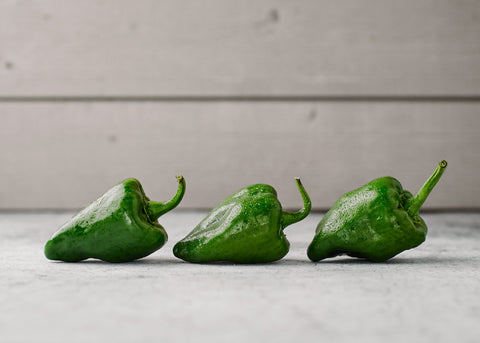 Heirloom Seeds_Italian Pepperoncini Pepper Seeds_Bucktown Seed Company-05
