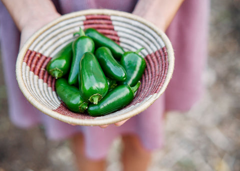 Heirloom Seeds_Pepper Jalepeno_Bucktown Seed Company-04