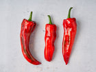 Three long, tapered Marconi Red sweet peppers with smooth, vibrant red skin on a light gray textured background.