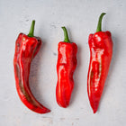 Three long, tapered Marconi Red sweet peppers with smooth, vibrant red skin on a light gray textured background.