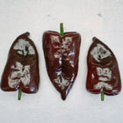 Three ripe, chocolate-brown Mulato Isleño peppers arranged on a textured light gray surface.