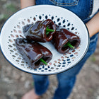 Three dark chocolate-brown Mulato Isleño peppers in a white decorative metal bowl held by a person in denim overalls.