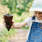 Child holding a ripe, chocolate-brown Mulato Isleño pepper in a garden.