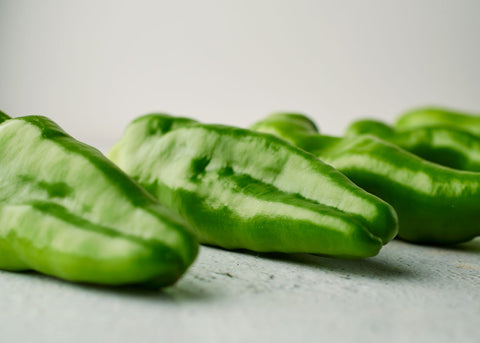 Heirloom Seeds_Pepper Padron_Bucktown Seed Company-02