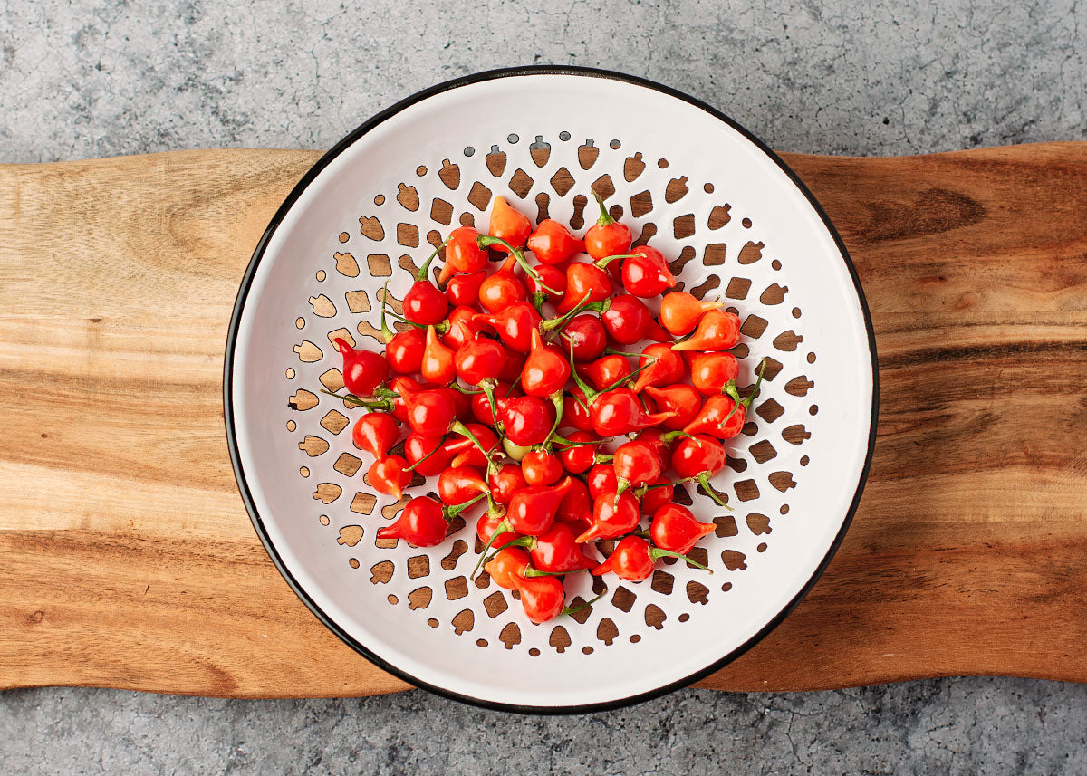 Heirloom Seeds_Red Biquinho Pepper Seeds_Bucktown Seed Company-01