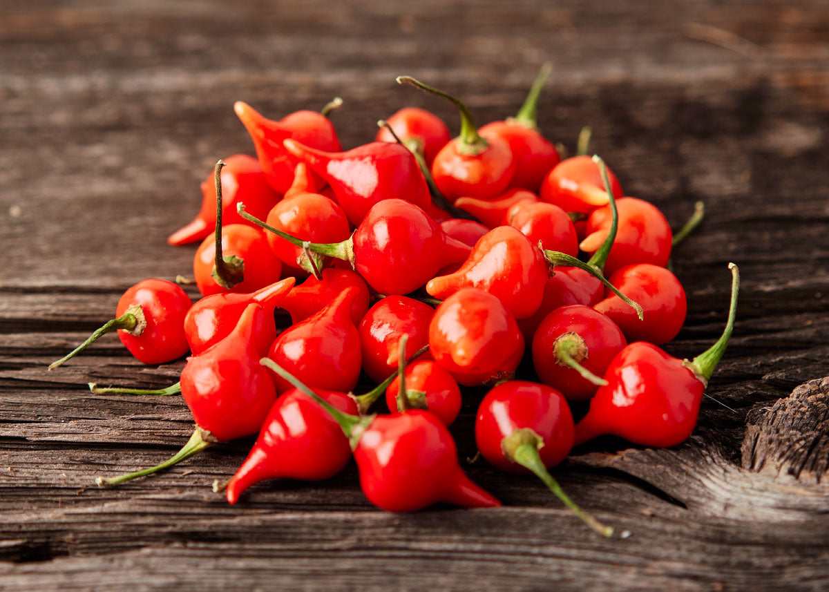 Heirloom Seeds_Red Biquinho Pepper Seeds_Bucktown Seed Company-03