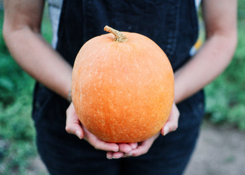 Heirloom Seeds_Amish Pie Pumpkin Seeds_Bucktown Seed Company-01