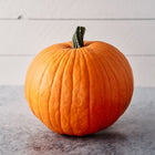 Large, bright orange Connecticut Field pumpkin with deep ribs and a sturdy green stem on a grey surface.