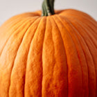 Close-up of a bright orange, ribbed Connecticut Field pumpkin with a sturdy green stem against a light background.