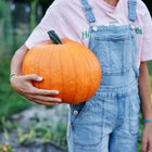 Person in denim overalls holding a large, bright orange Connecticut Field pumpkin in a garden.