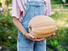 Person in denim overalls holding a large, tan-skinned Dickinson pumpkin in a garden.